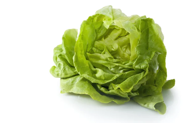 Fresh garden lettuce — Stock Photo, Image
