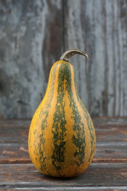 Squash
