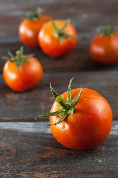 Pomodori appena raccolti — Foto Stock