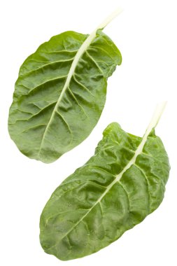 İsviçre Chard 
