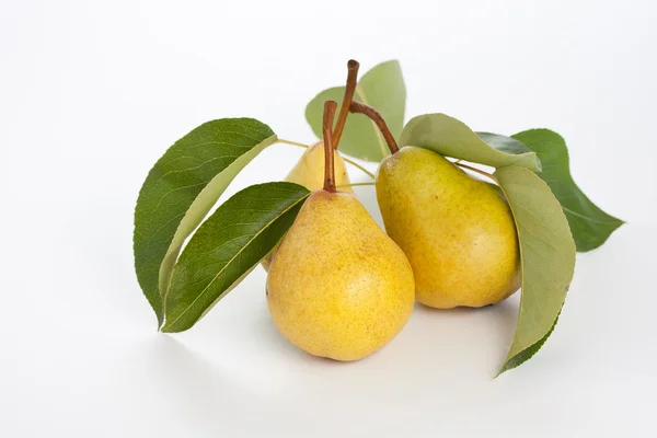 Fresh pears — Stock Photo, Image