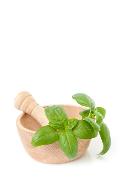 Mortar and Pestle with Basil — Stock Photo, Image