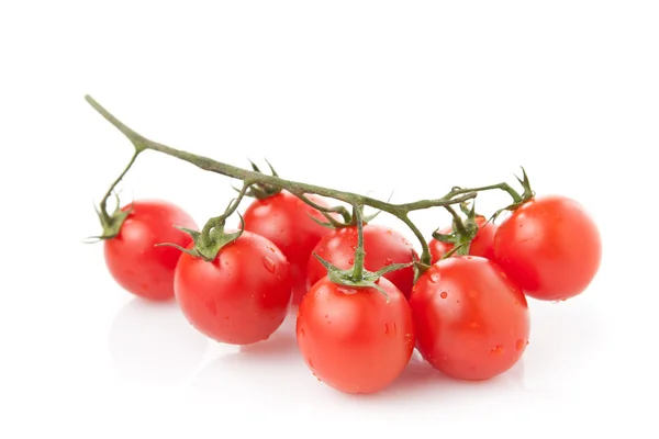Tomate cereja fresco — Fotografia de Stock