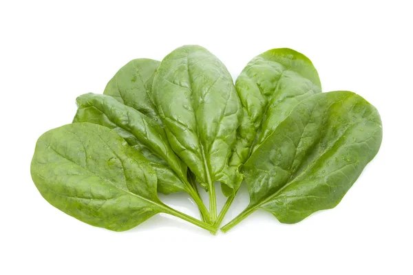 Garden fresh spinach — Stock Photo, Image