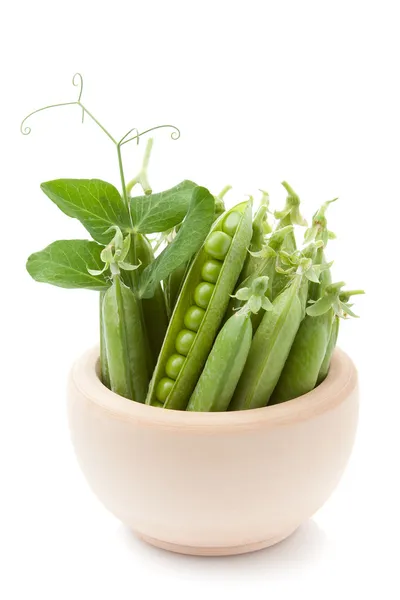 Green Pea — Stock Photo, Image