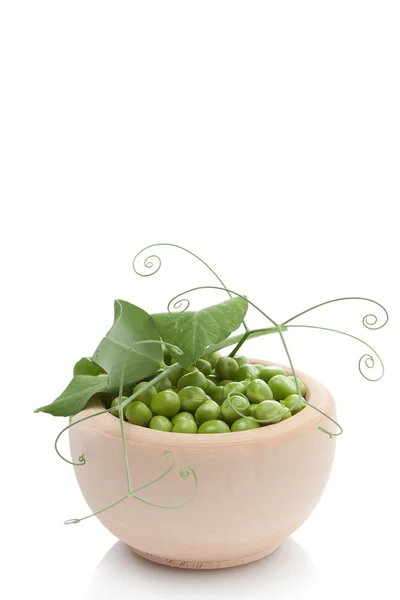 Green Pea — Stock Photo, Image