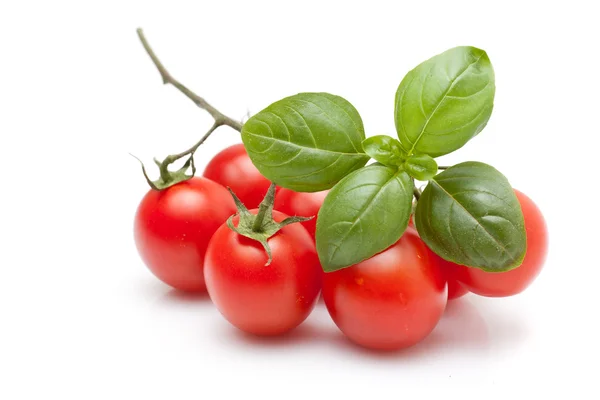Fresh Tomato And Basil Royalty Free Stock Photos