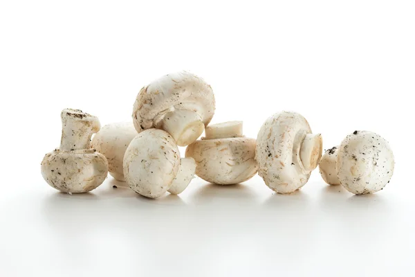 Cogumelos brancos — Fotografia de Stock
