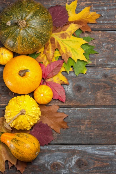 Calabazas de otoño —  Fotos de Stock