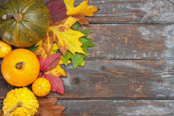 Calabazas de otoño —  Fotos de Stock