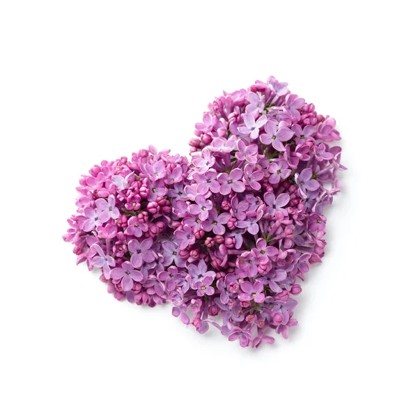 Coração de flor — Fotografia de Stock