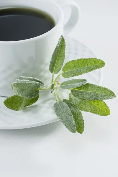 Sage Tea — Stock Photo, Image