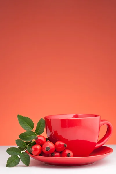Thé à la rose — Photo