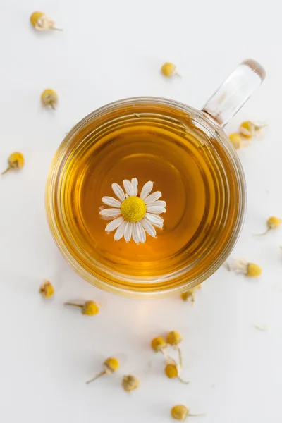 Fresh chamomile tea — Stock Photo, Image