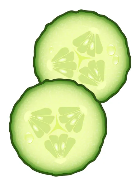 Rodajas frescas de pepino — Vector de stock