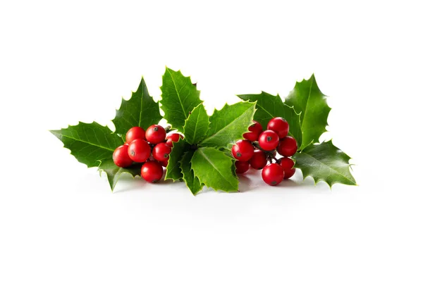 Natural Christmas Decoration Holly Leaves Red Berries White — Stock Photo, Image