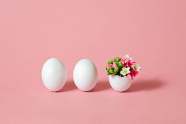 Pembe arka planda güzel bahar çiçekleri olan beyaz Paskalya yumurtası. Kopya alanı ile Paskalya ilkbahar kavramı. 