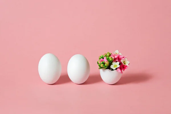 Huevo Pascua Blanco Con Hermosas Flores Primavera Sobre Fondo Rosa —  Fotos de Stock