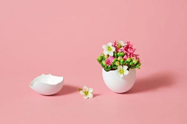 Weißes Osterei Mit Schönen Frühlingsblumen Auf Rosa Hintergrund Osterfrühlingskonzept Mit — Stockfoto