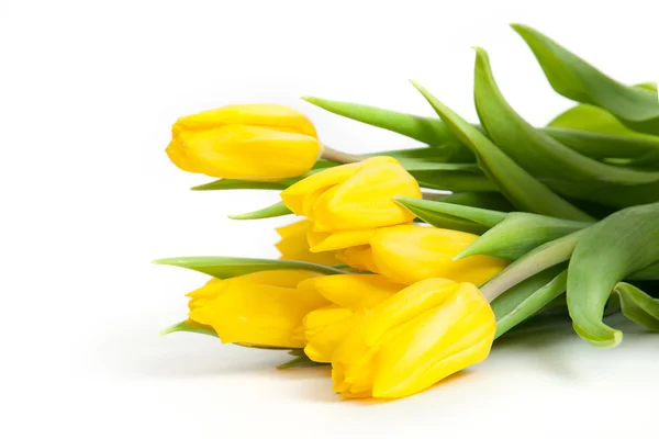 The bouquet of yellow tulips — Stock Photo, Image