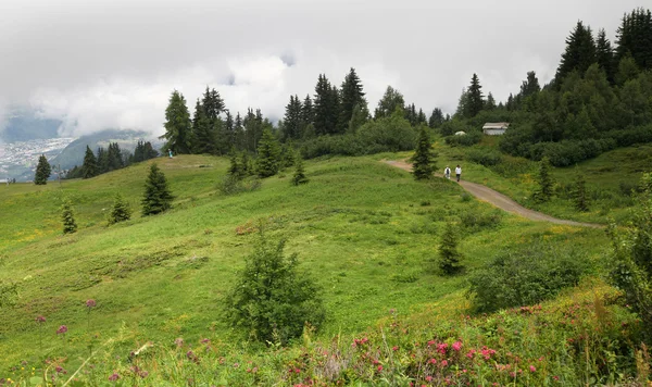 Yaz aylarında dağ yolu — Stok fotoğraf