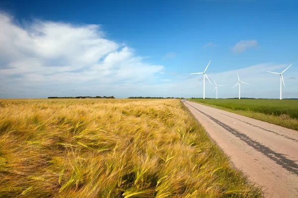 Het gebied van tarwe en wind turbunes — Stockfoto