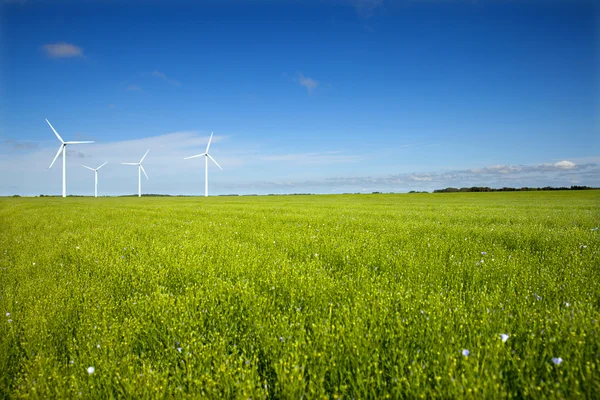 Vier wind motoren in linnen veld — Stockfoto