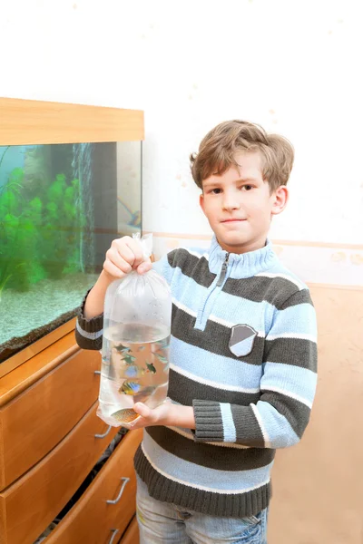 Ragazzo tiene il pacchetto con pesci d'acquario — Foto Stock