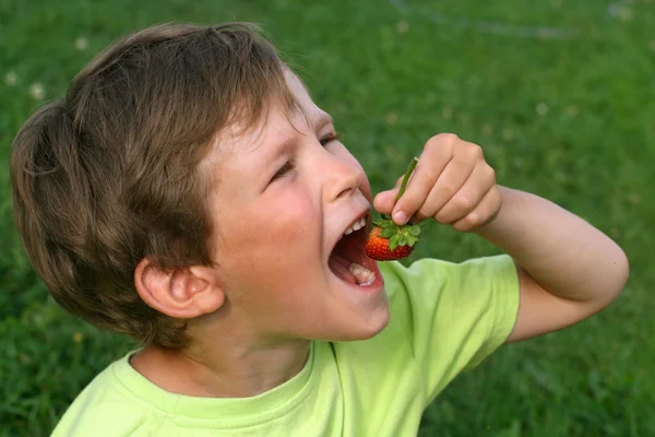 Boy eats strawberry — Stock Photo, Image