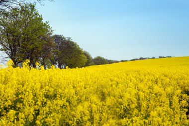 heuvels van verkrachting tegen blauwe hemel