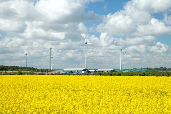 Landbouw hangar en wind turbine in koolzaad veld — Stockfoto