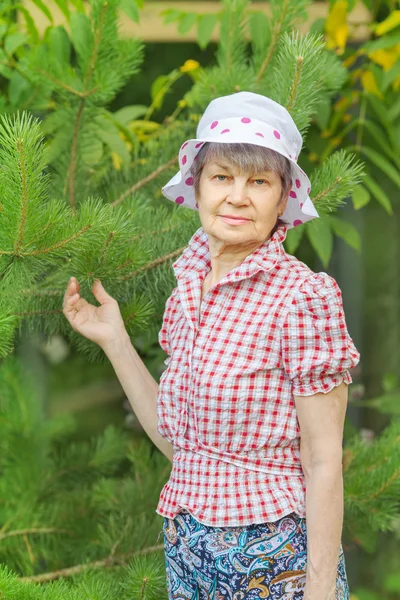 Elderly woman hold branch of  pine — Stock Photo, Image