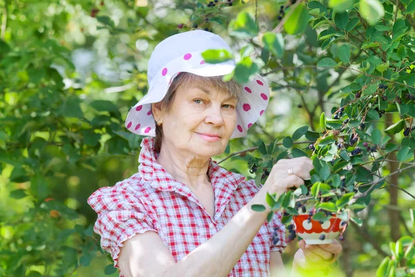 Donna in pensione in giardino . — Foto Stock