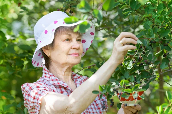 Donna anziana in giardino — Foto Stock