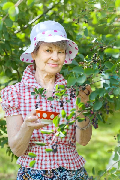 Donna anziana in giardino — Foto Stock