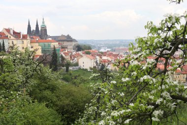 Hradcany görünümünü