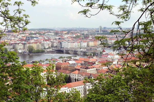 Praga casco antiguo —  Fotos de Stock