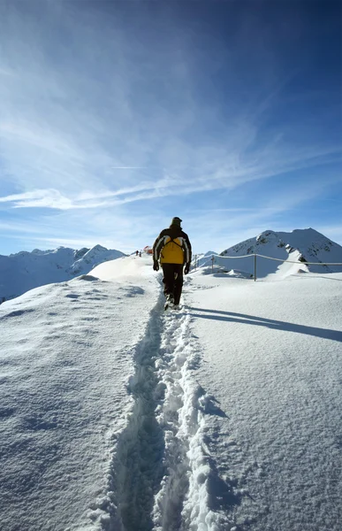 Hombre en los Alpes — Foto de Stock