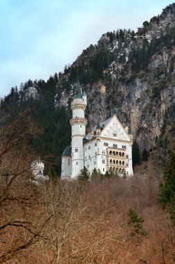 Neuschwanstein Şatosu, Bavyera