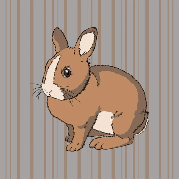 Conejo sentado marrón esponjoso — Vector de stock