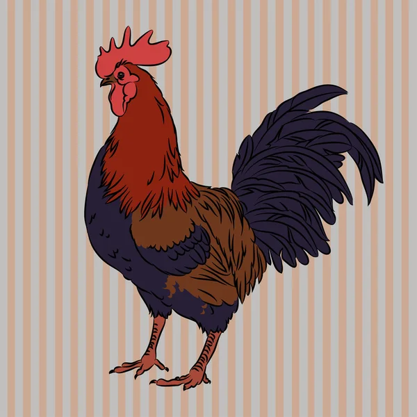 Realistic gorgeous rooster side view — Stock Vector