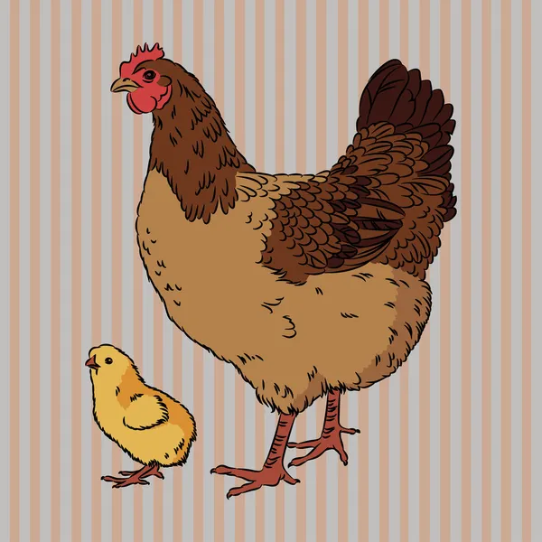 Realistische broody kip en baby chick zijaanzicht — Stockvector