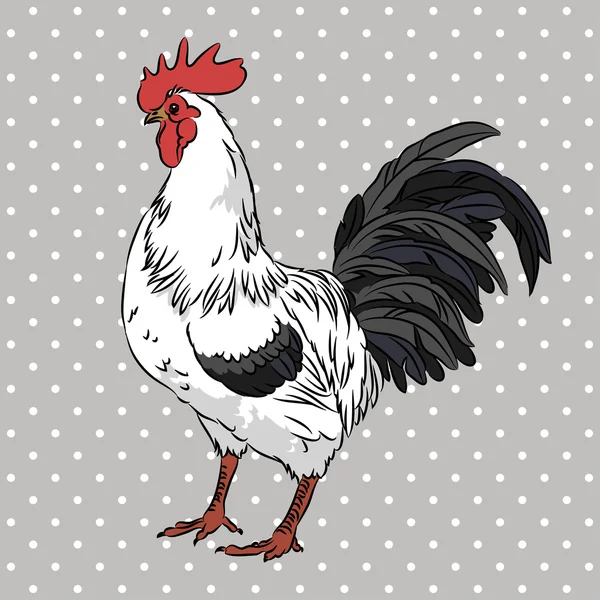 Realistic gorgeous rooster side view — Stock Vector