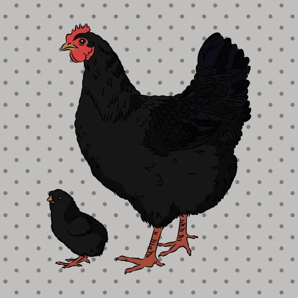 Realistische zwarte kip en baby chick zijaanzicht — Stockvector