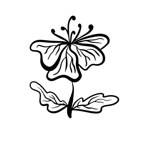 Векторна Ілюстрація Квіткового Ескізу Лінійному Стилі Прекрасний Ботанічний Квітковий Дизайн — стоковий вектор