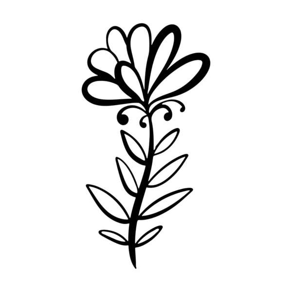 Vektorillustration Einer Floralen Skizze Linearen Stil Wunderschönes Botanisches Blumenmuster Die — Stockvektor