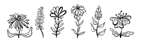 Vektorové Ilustrace Květinových Náčrtků Lineárním Stylu Krásný Botanický Květinový Design — Stockový vektor