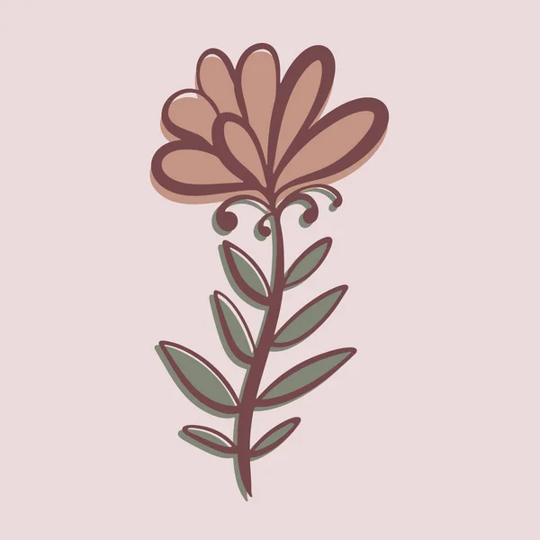 전형적 모델이다 아름다운 식물학적 꽃무늬 손으로 식물이죠 분홍색 배경에 귀여운 — 스톡 벡터