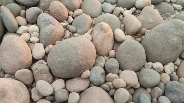 Bela Pedra Ribeirinha Tarde Pedra Pedra Pedra Pedra — Vídeo de Stock