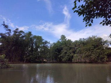 Bangladeş 'teki bir gölette güzel manzara yansıması.